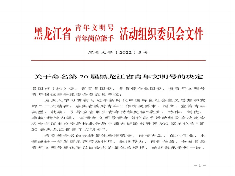 喜报！水利水电集团九游会老哥第一项目部 荣获“第20届黑龙江省青年文明号”